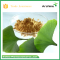 USP Grade Wasserlösliches Ginkgo biloba Extraktpulver